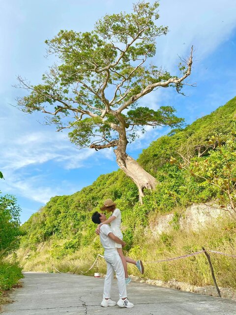 Cặp đôi chụp ảnh tại cây Da cô dơn huyền thoại